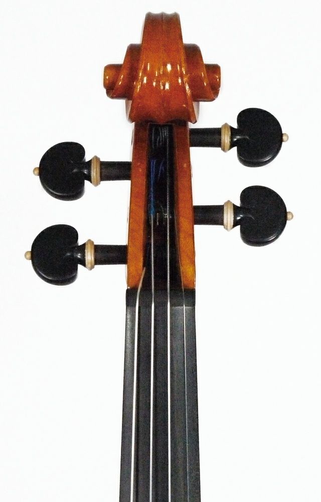 坂本忍 ヴァイオリン2025年