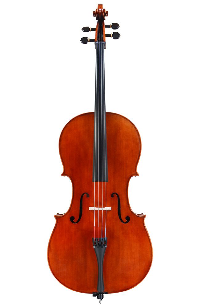 Pygmalius PROGRESSO VC200 / ピグマリウス プログレッソ