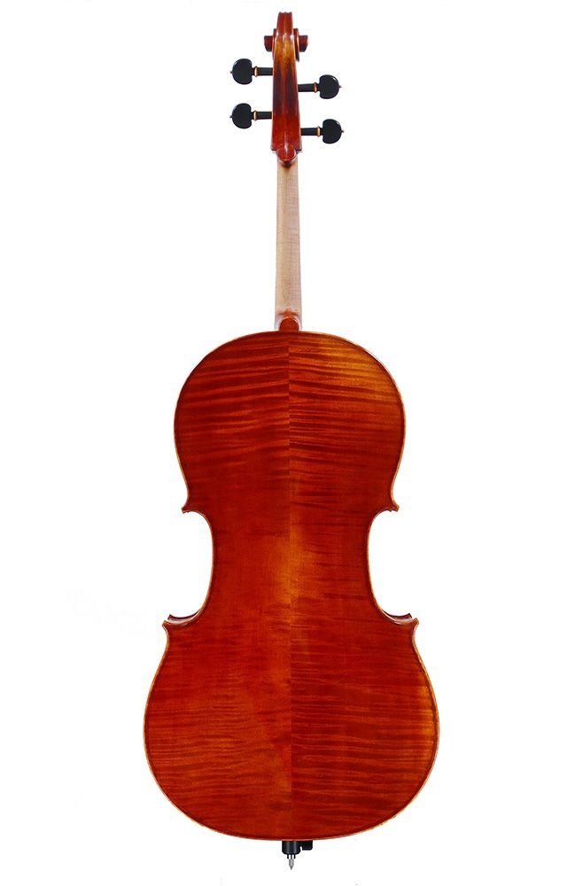 Pygmalius PROGRESSO VC200 / ピグマリウス プログレッソ