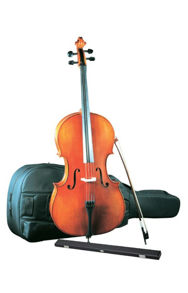 Eastman VC100 4/4セット /イーストマン